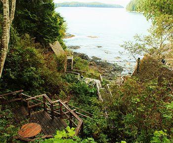 Duffin Cove Tofino