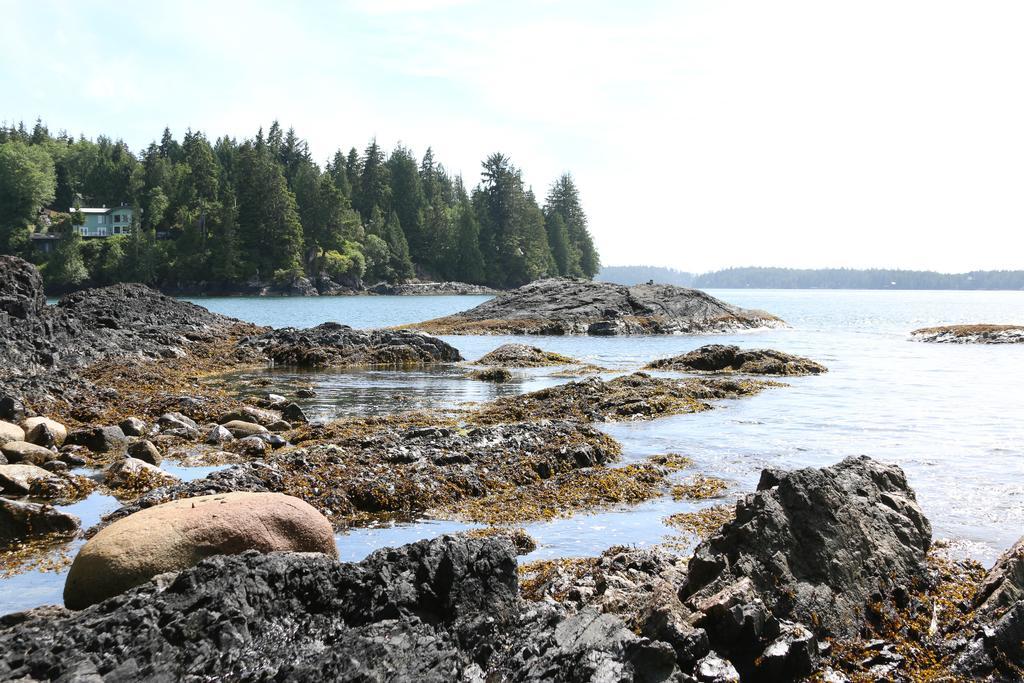 Duffin Cove Tofino
